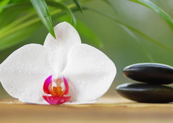 Apartment Serenity Haven - Your Ultimate Escape *